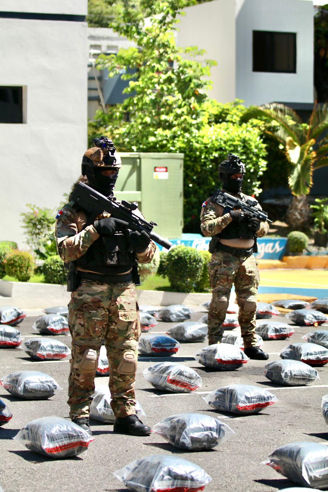 Incautan más de 1,100 paquetes de presunta marihuana sintética en puerto de Puerto Plata