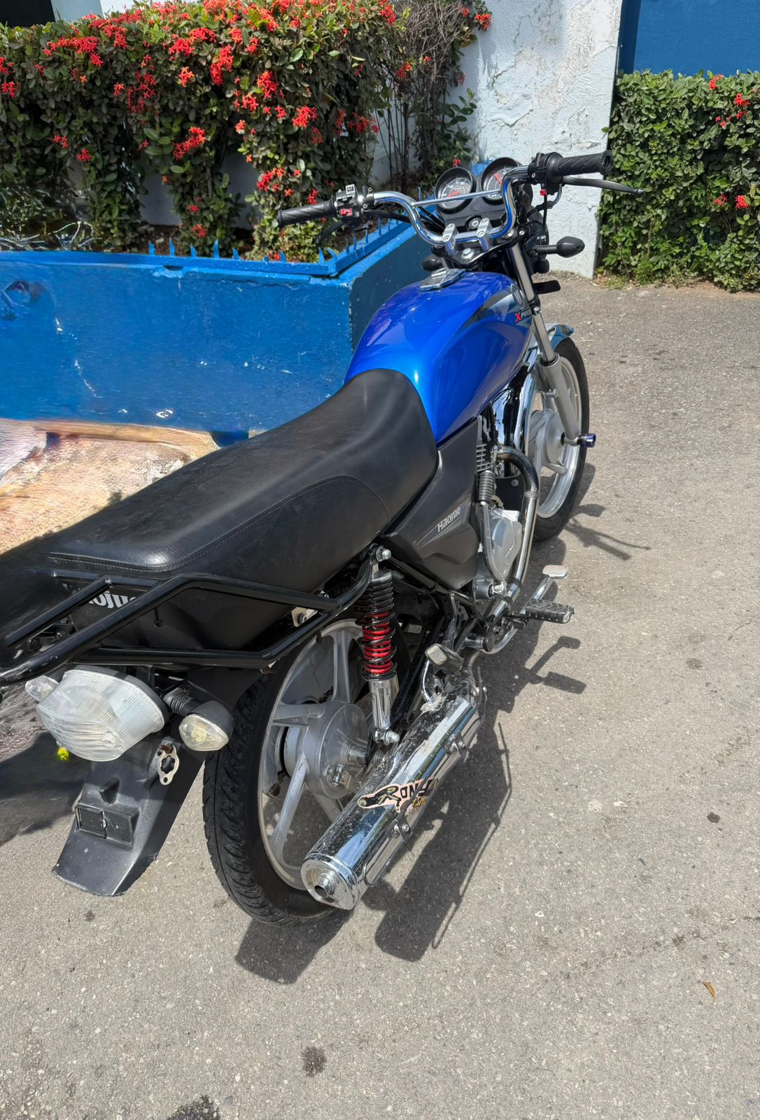 Recuperan motocicletas robadas en Sabana Perdida