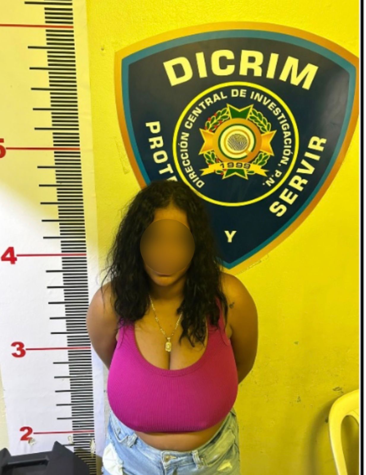 Arrestan en La Vega a mujer acusada de delitos tecnológicos