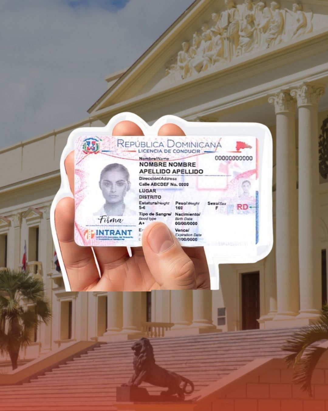 Mayores de 65 años puedan renovar licencias de conducir por un periodo de vencimiento mayor a los dos años