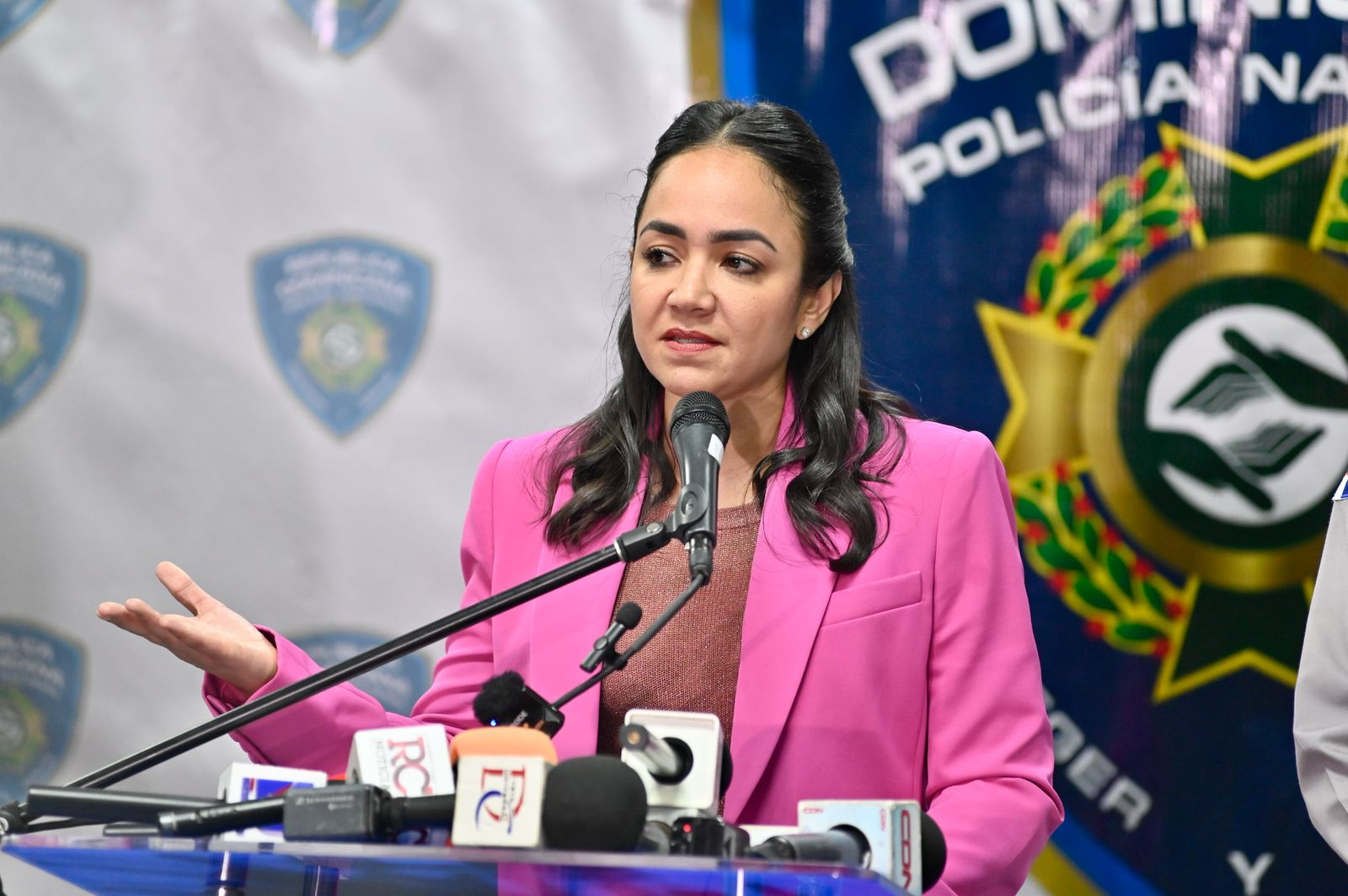 Faride Raful admite fallas del sistema para proteger a tiempo a las mujeres