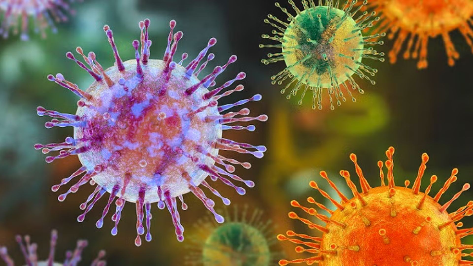 La OMS reitera que el hantavirus sólo se transmite por contacto estrecho, con posible exposición a saliva