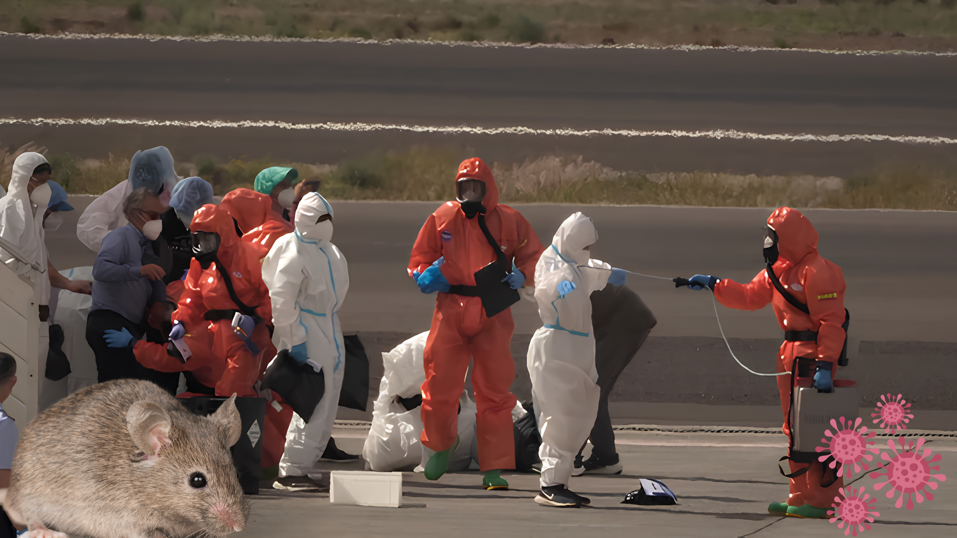 Casos de hantavirus se reducen a 10 tras dar negativo pasajero estadounidense