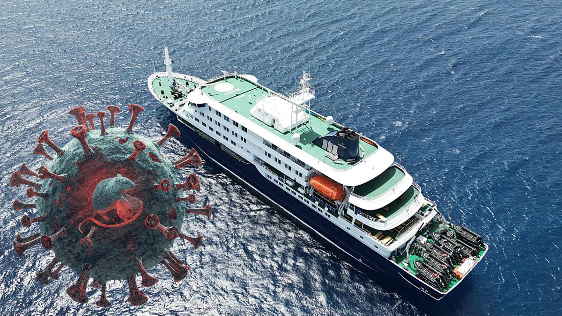¿Qué es el hantavirus? El virus detectado en un crucero bajo vigilancia internacional