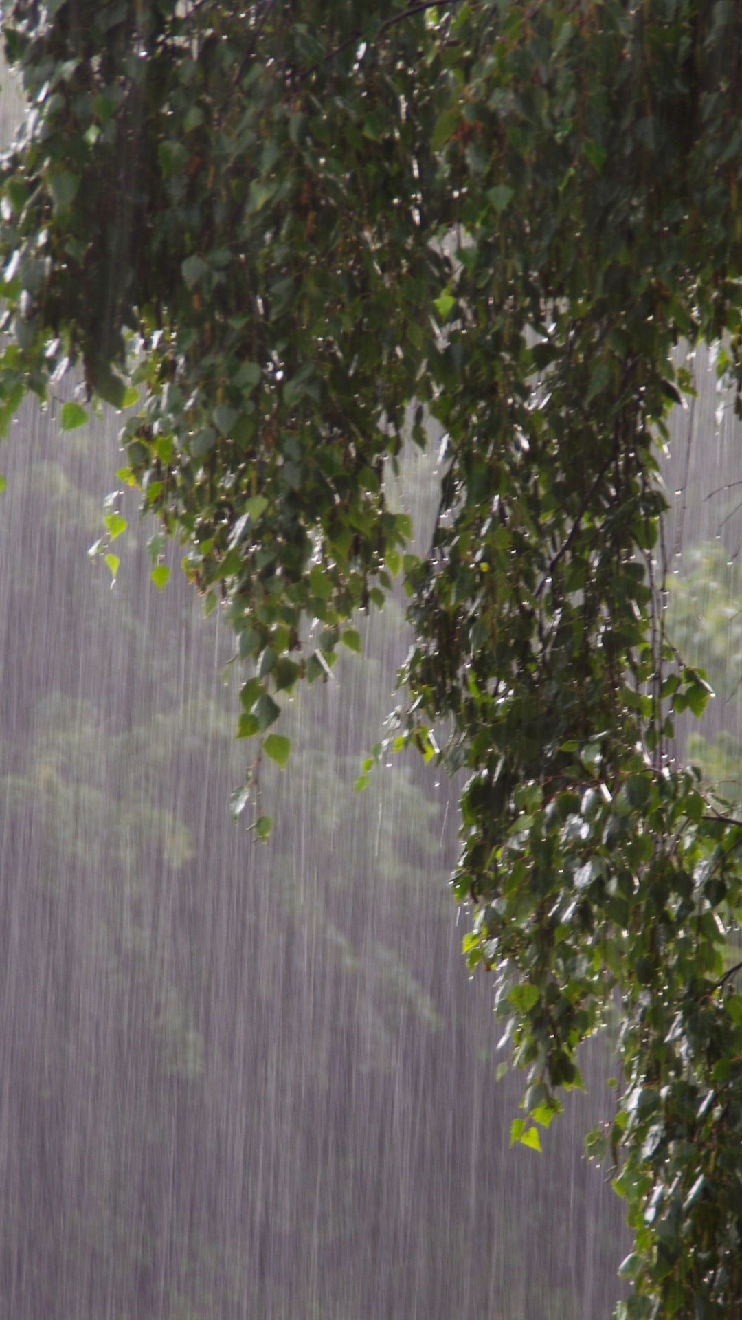 Indomet prevé aguaceros, tormentas eléctricas y posibles granizadas este miércoles