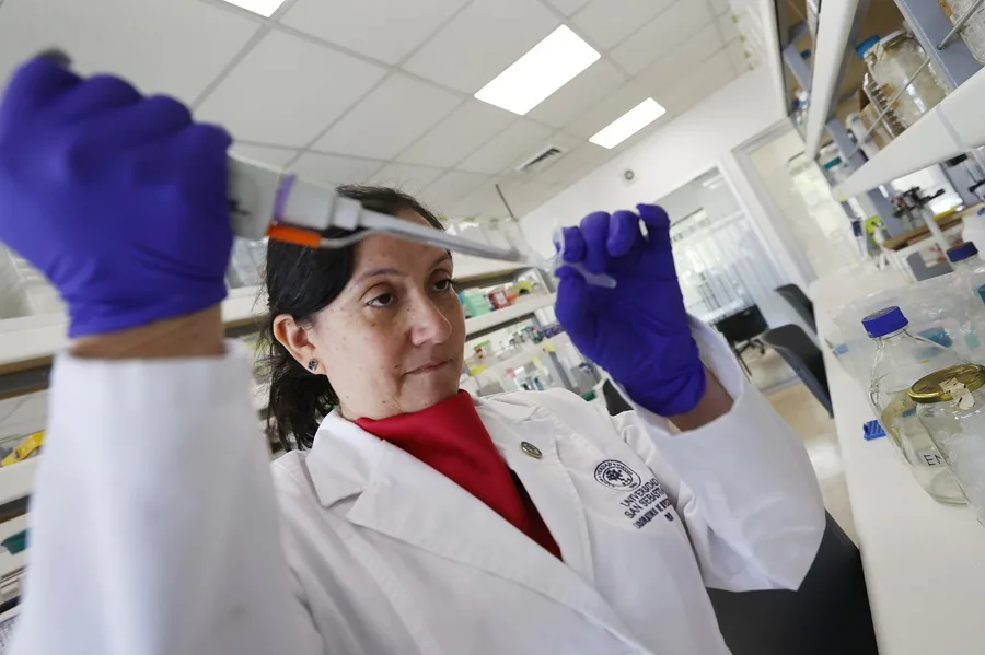 La alentadora vacuna chilena contra el hantavirus que busca fondos para avanzar en humanos