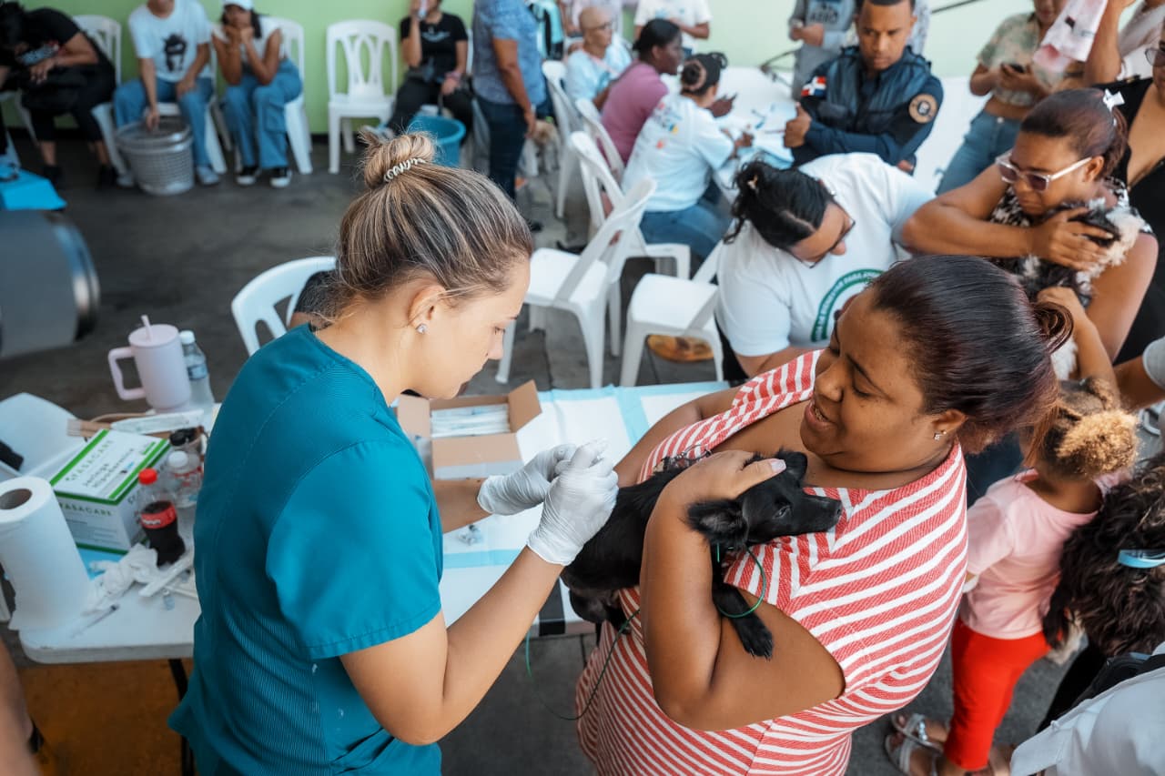 Alcaldía del DN realiza jornada de vacunación y esterilización de mascotas