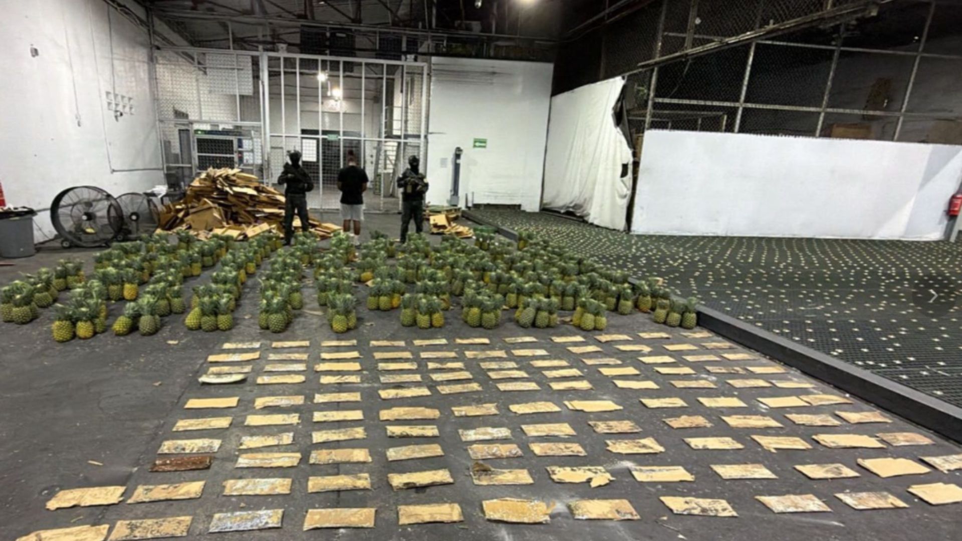 DNCD confirma alijo incautado en el AILA es cocaína y pesa más de 31 kilogramos