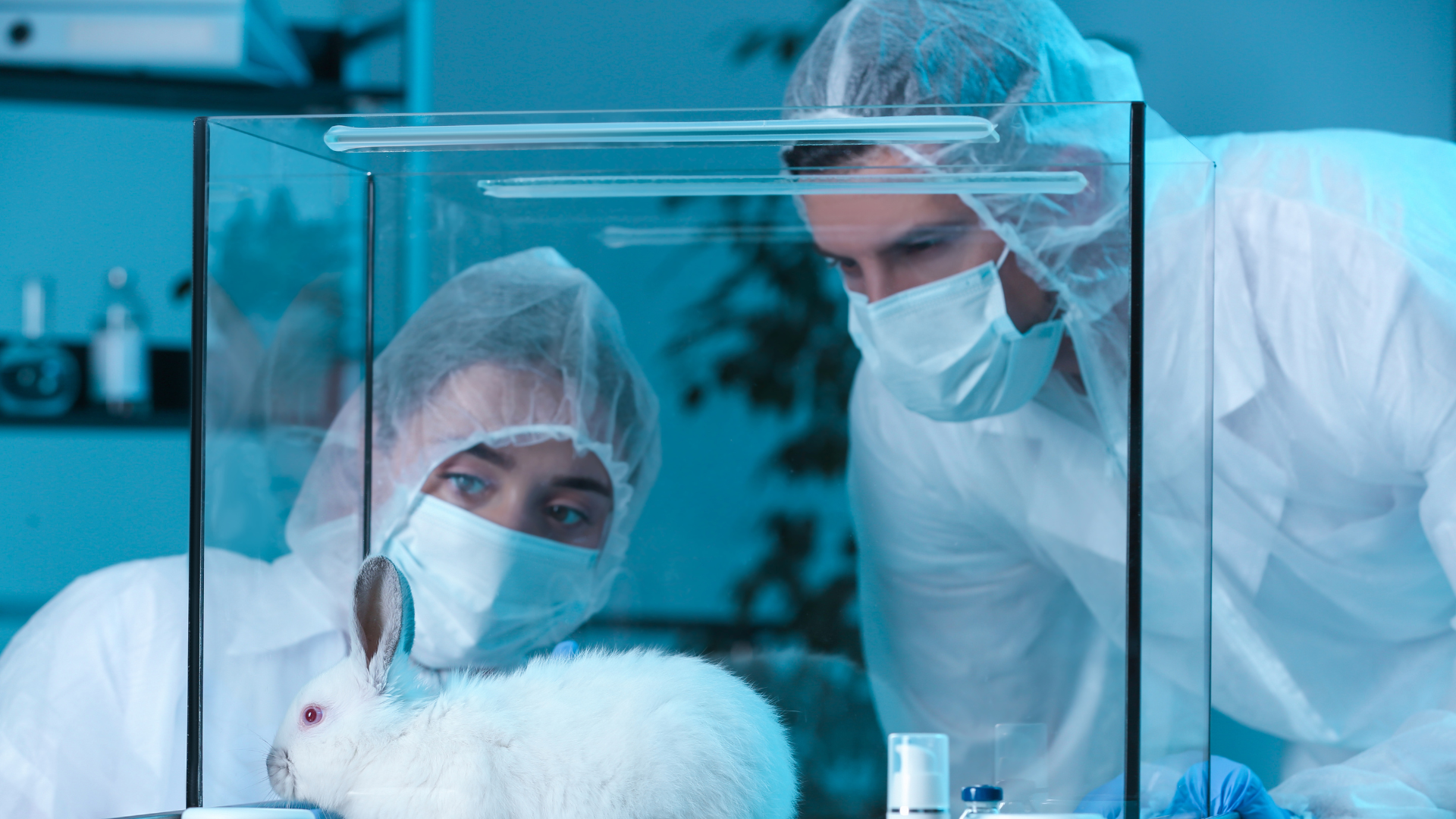 Bruselas presenta plan para eliminar progresivamente las pruebas con animales