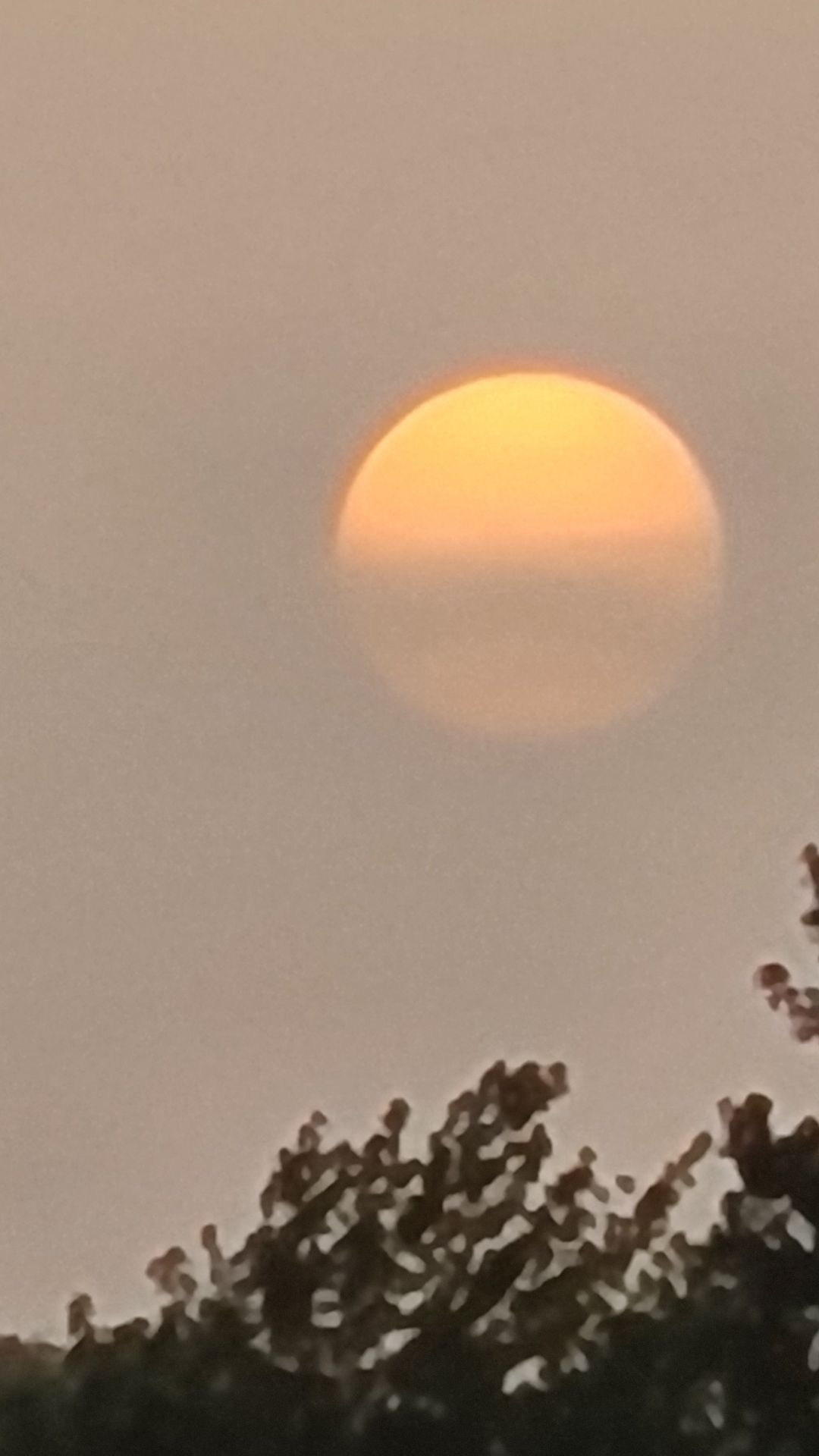 Pronostican calor y pocas lluvias este martes por polvo sahariano