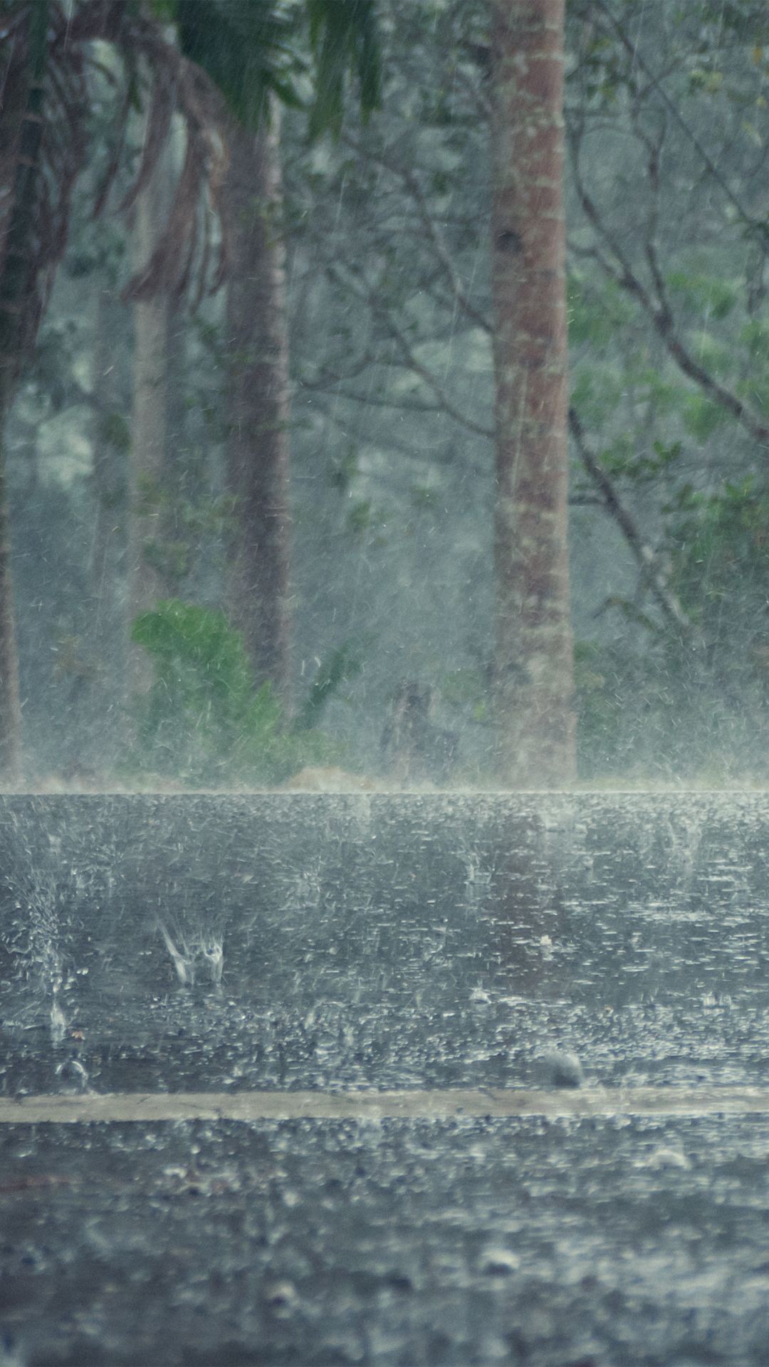 Onda tropical y vaguada provocarán lluvias en distintas zonas del país