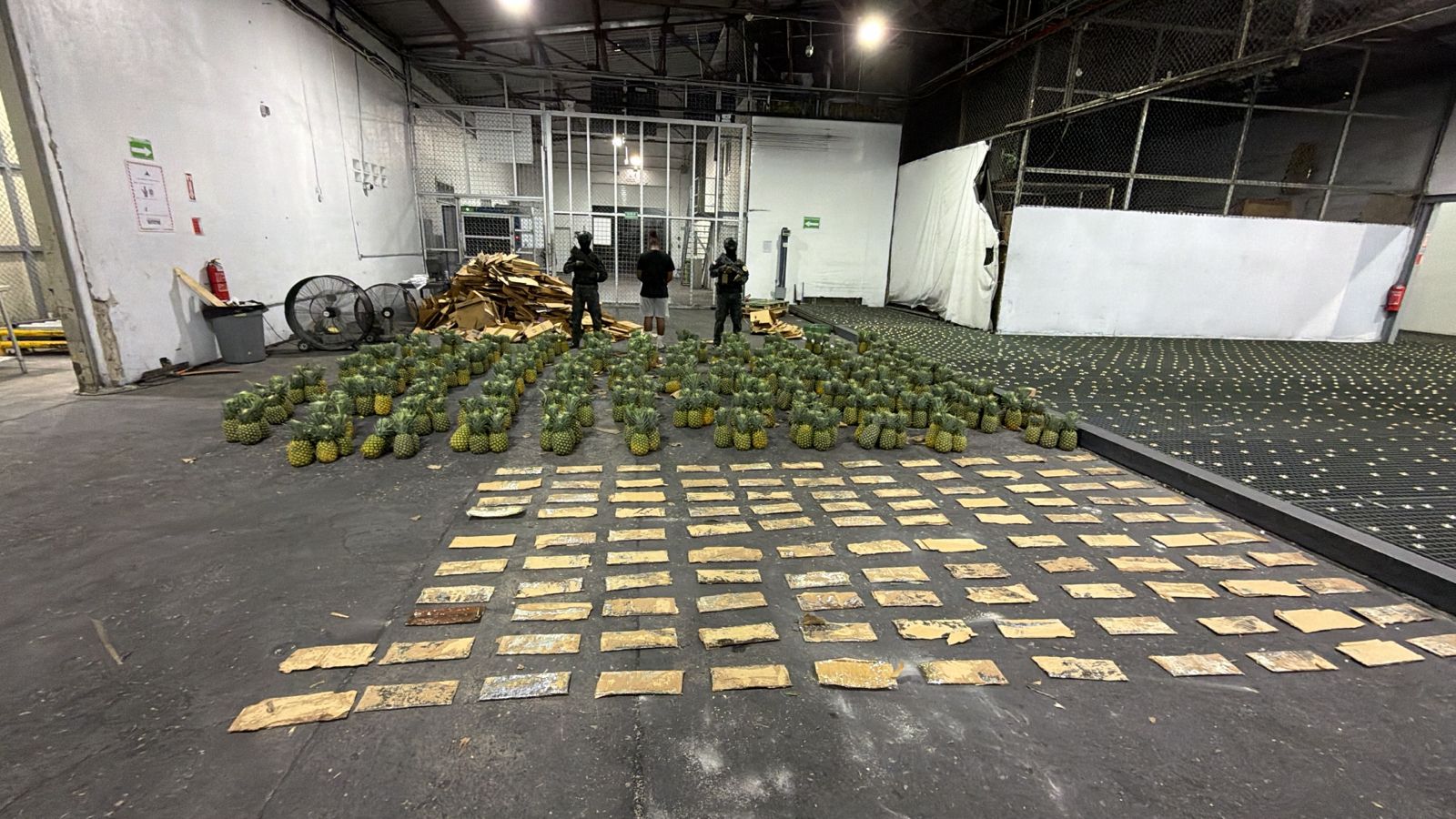 DNCD ocupa 121 láminas de presunta cocaína ocultas en cargamento de piñas en el AILA