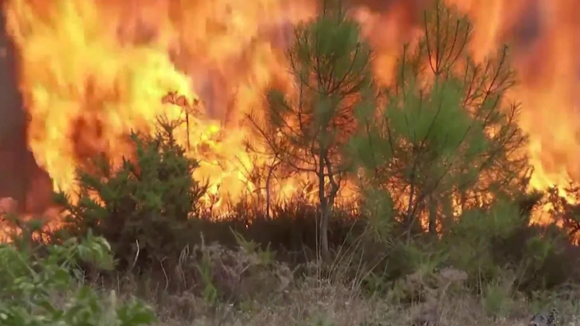 Incendio en Gironda, Francia, deja 220.000 evacuados y continúa fuera de control