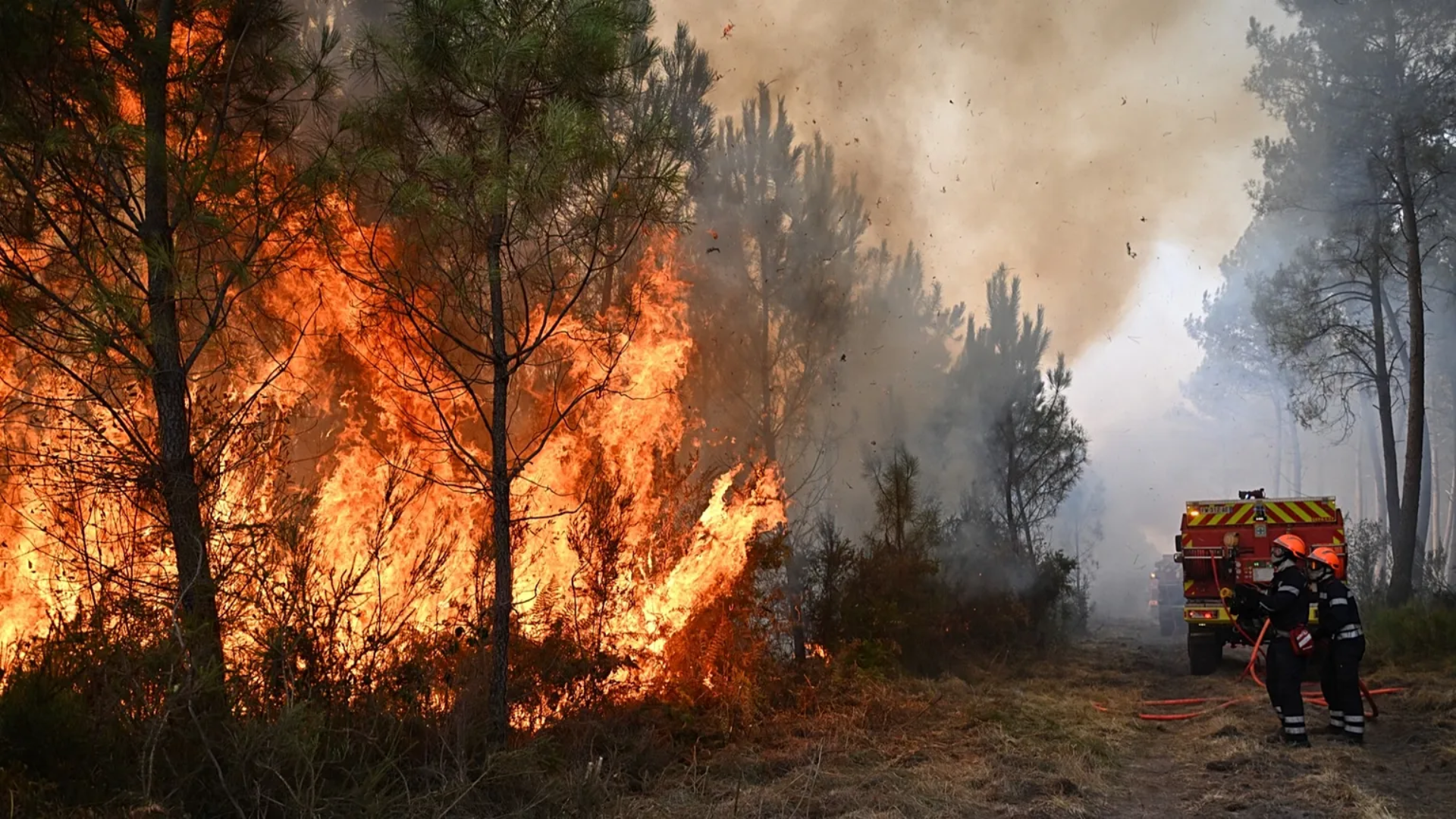 Incendio en Francia deja pérdidas millonarias y golpea al turismo en la región de Burdeos