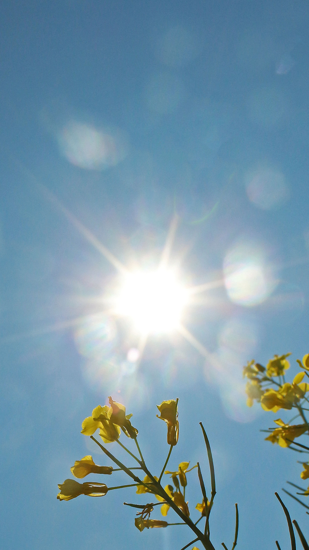 ¿Lloverá este sábado? Pronostican calor intenso y escasas lluvias