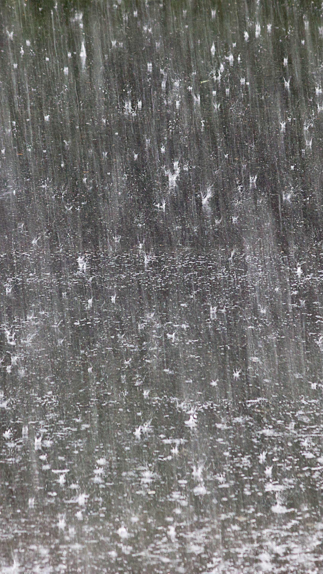 Lluvias, tormentas eléctricas y calor: así estará el tiempo en RD