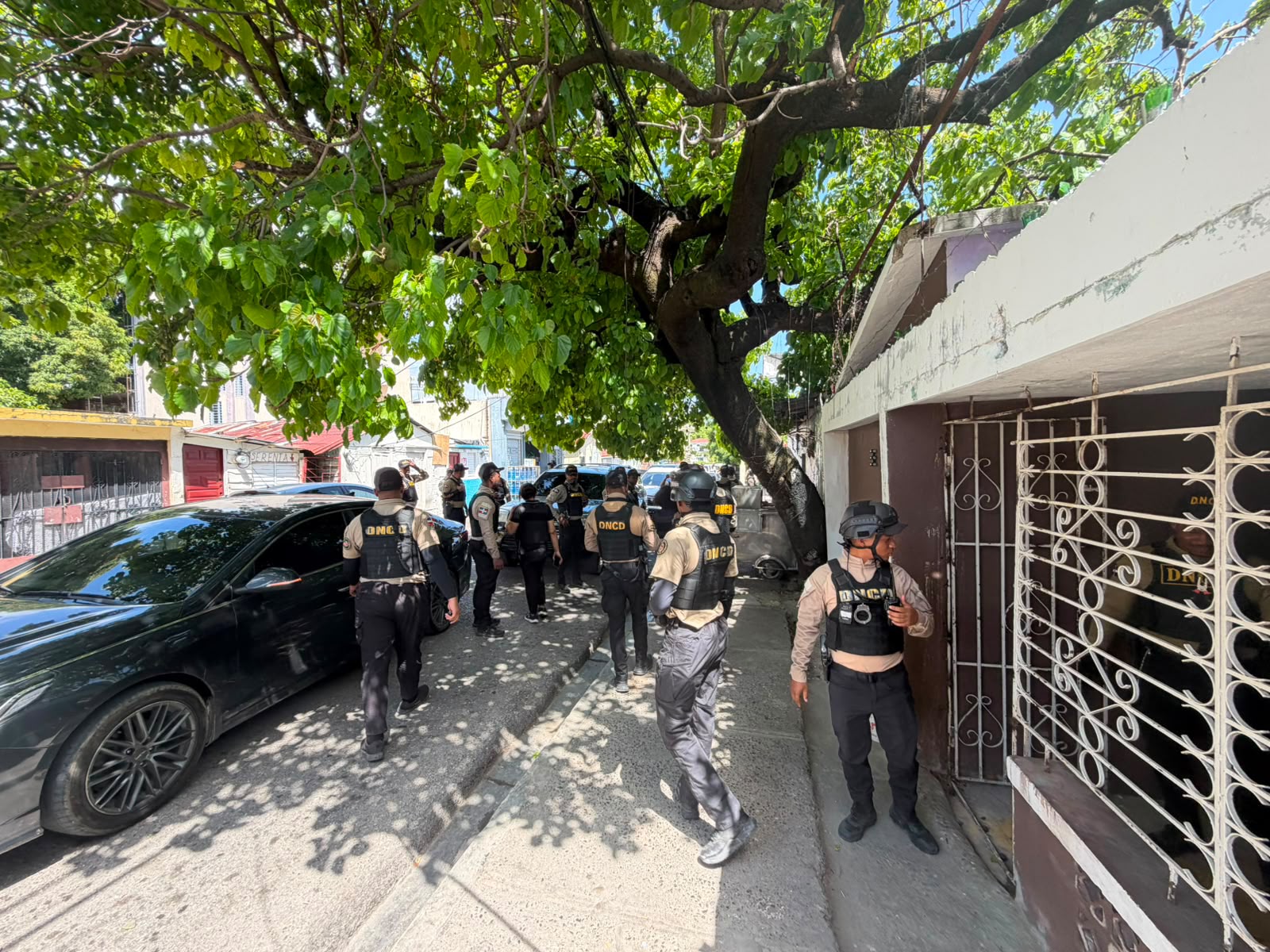 DNCD ocupa más de 4,000 gramos de presuntas drogas y arresta a 12 personas en Puerto Plata