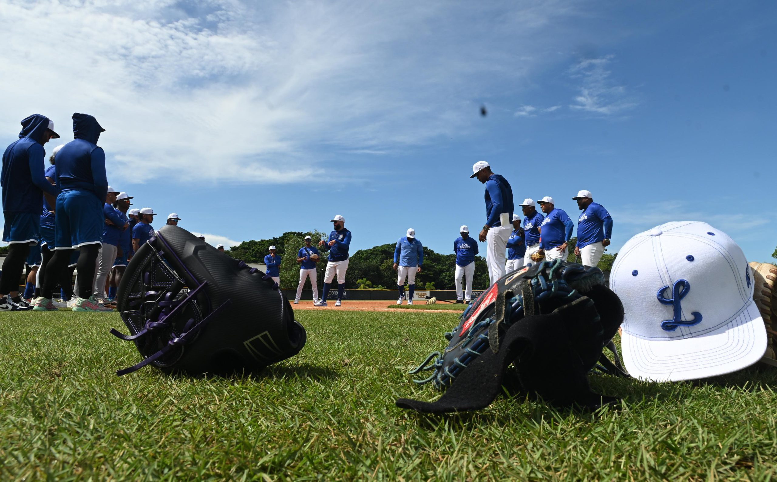 ¿Quiénes son los cinco jugadores que el Licey deja en libertad?