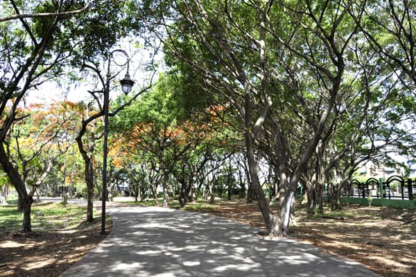 A casi 15 días de concluir los Juegos Centroamericanos Parque del Este reabre parcialmente