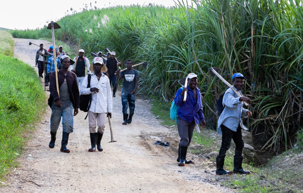 ¿Trabajo forzoso en Central Romana? Diáspora haitiana lo aclara