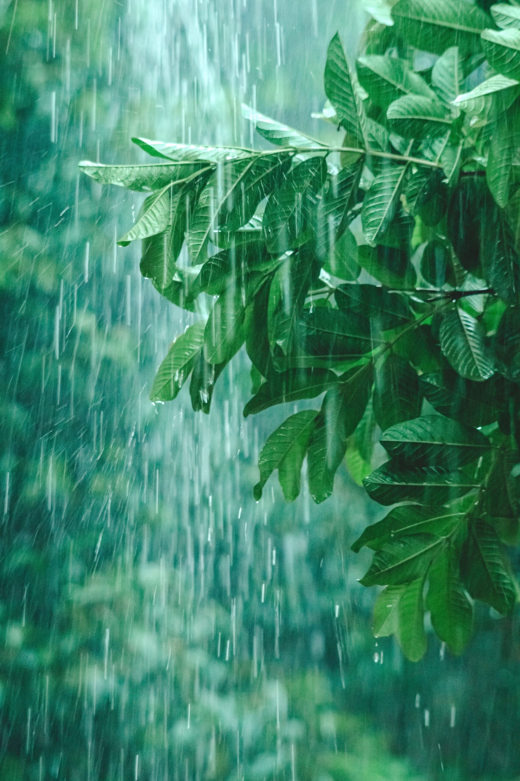 Indomet: Vaguada y ondas tropicales provocarán lluvias los próximos 3 días