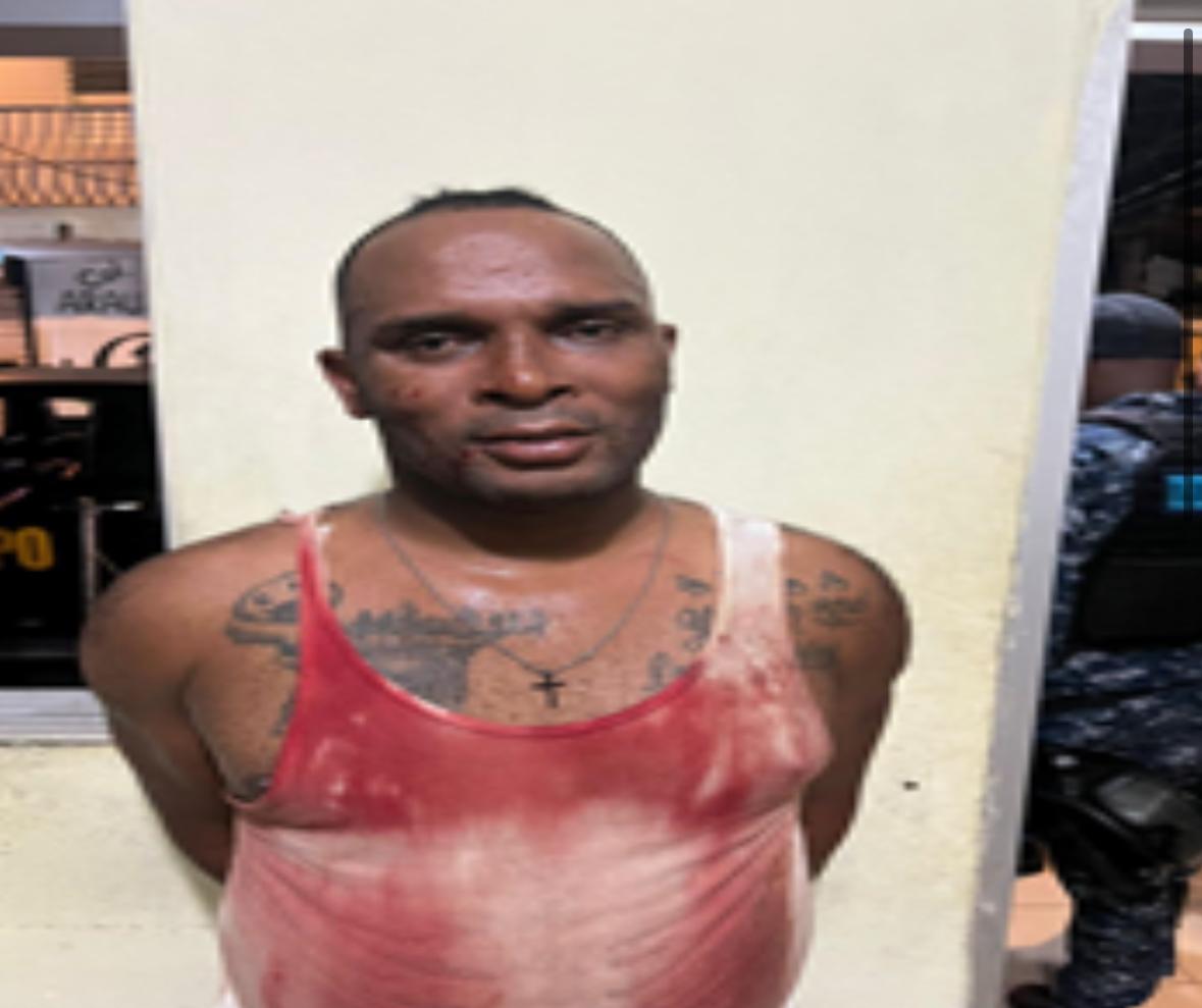 Policía apresa en flagrante delito a hombre que habría atacado su pareja en Los Guandules