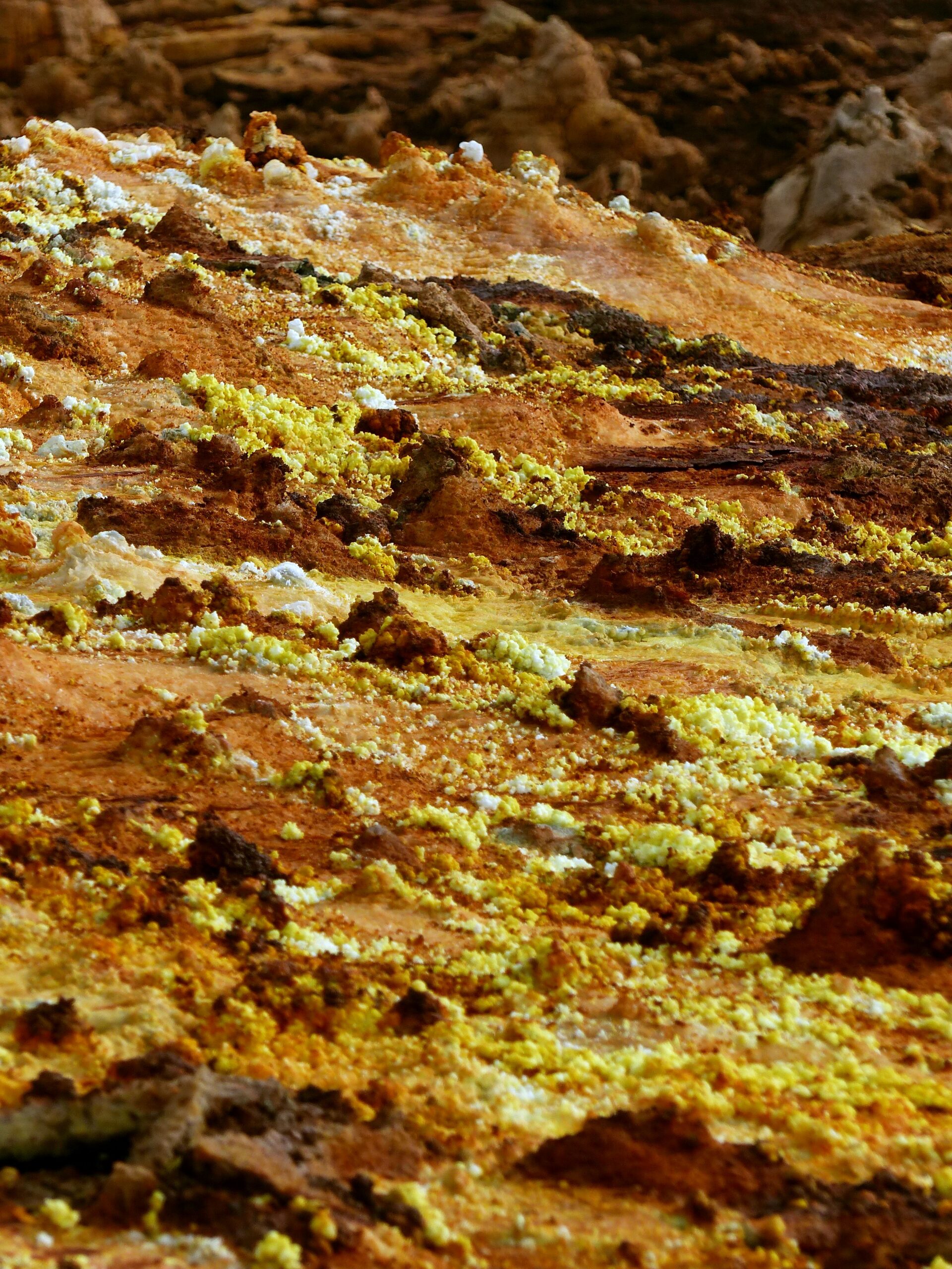 Tierras raras: la apuesta de RD para su despegue económico
