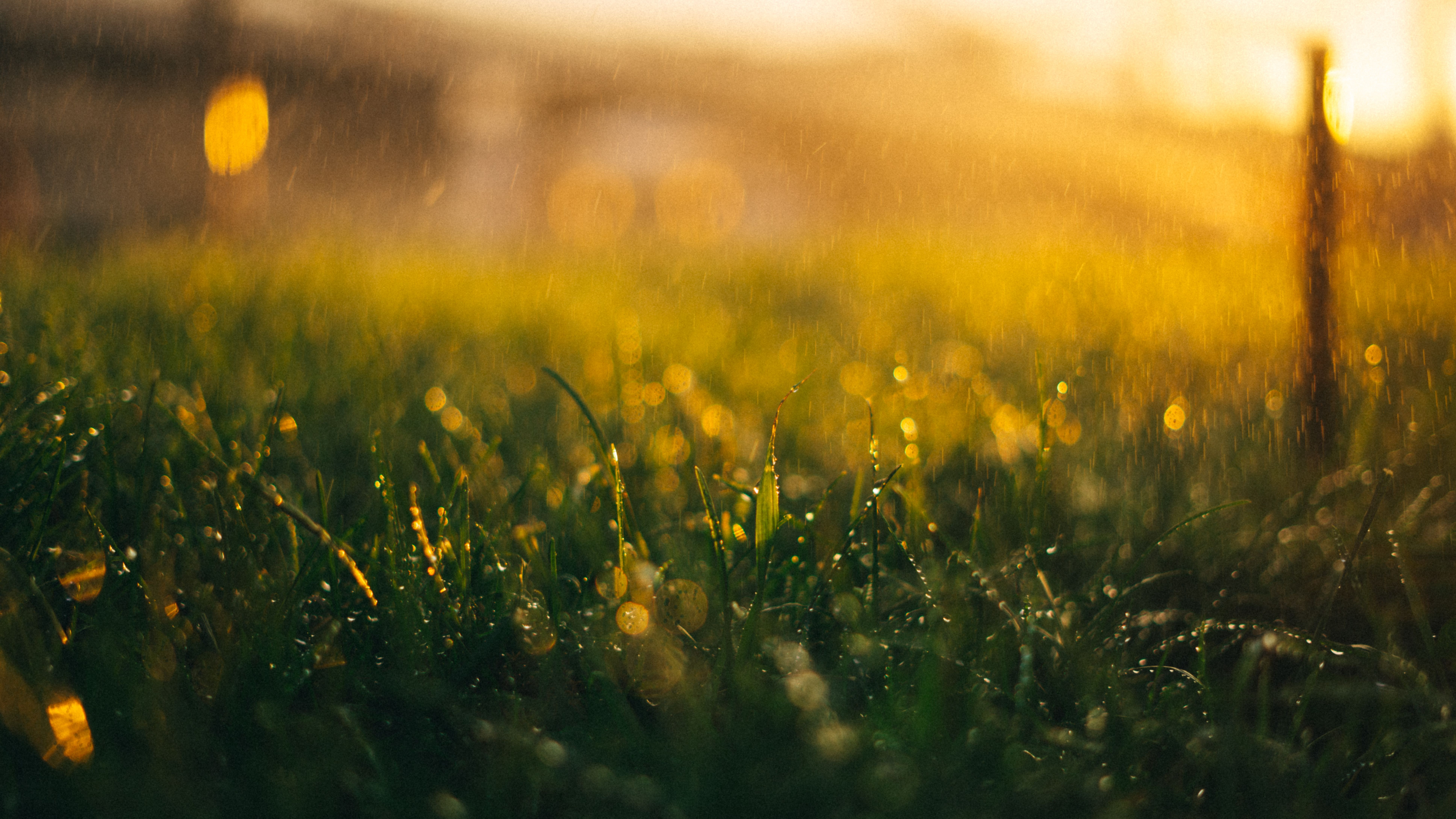 Indomet: altas temperaturas y lluvias para este lunes