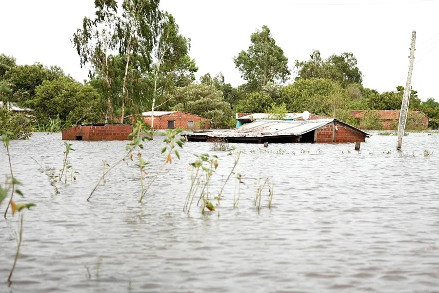 ¿Qué efectos traerá El Niño a América Latina y el Caribe y por qué la OEA pide prepararse desde ahora?